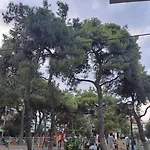 Walk To Center From Quiet Park Apartment