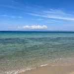 Pelagio