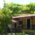Grapes And Roses 2
