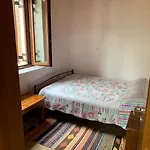 Cozy Traditional House