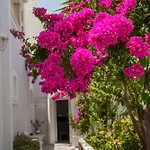 Wisteria Apartments
