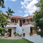 Orange Garden