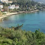 Acra Melia