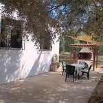 The Small House In The Olive Grove