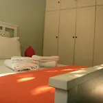 Αργώ Κήπος