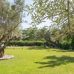 Elaia - Apartments & Studios