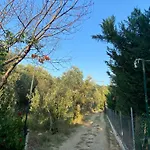 Zirganos Horton Pelion Apartment 2