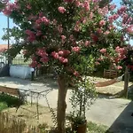 Magnolia House