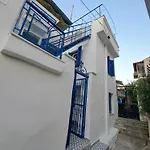 The Blue House