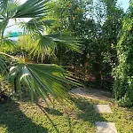 Dimis Apartments
