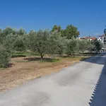 Kalloni Olive House