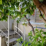 The Tiny House Of The Lemon Tree
