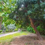 Prime Location, Renovated Flat!