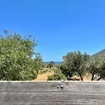 Grande Tente Dans L'Oliveraie