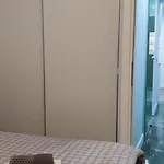 New Apartment With A Separate Entrance Near The Subway.