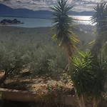 Olive Grove Cottage-Hermioni,Hydra,Spetses &Poros