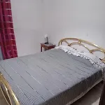 Home Sweet Home - 1 Bedroom Apartment