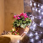Luxury - Le Petit Bati