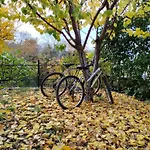 Stomio 4 Seasons Relaxing Apartment