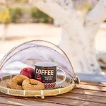 Olive Studios Karpathos Studio #1