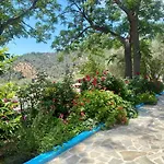 Studios Ioanna Limnionas Samos