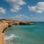 Dafnis Koufonisia