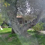 Bill'S Garden Villa