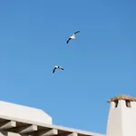 Villa Anali, Kastraki, Naxos