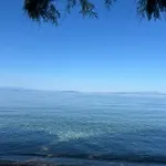 Fotis Apartments