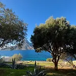 Armeos Blue