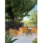 Studio Dikaia 1
