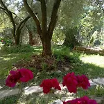 Villa Relax