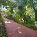 Lilo'S Apartments