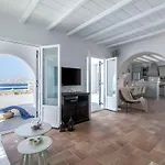 Villa Gin By Mykonos Mood