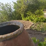 Granny'S House