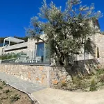 Omorfi Suite