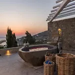Villa With Views To Delos Island