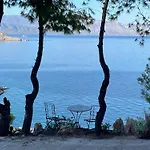 Pines & Sea