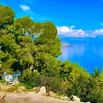 Pines & Sea