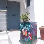Nama Seaview Kokkari