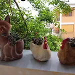 Harmony Resort