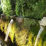 Green Oasis