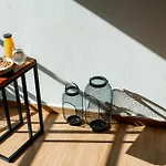 Moss - Beautiful Living In The Heart Of Athens