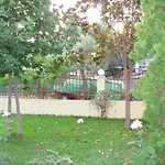 Fountoukis Studios
