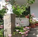 Pigi Hotel