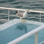 Lefki 14