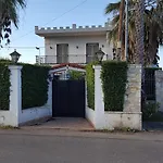 Patras Palm Tree