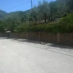 Aristotelis