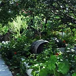 Milos Garden