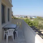 Zini 1